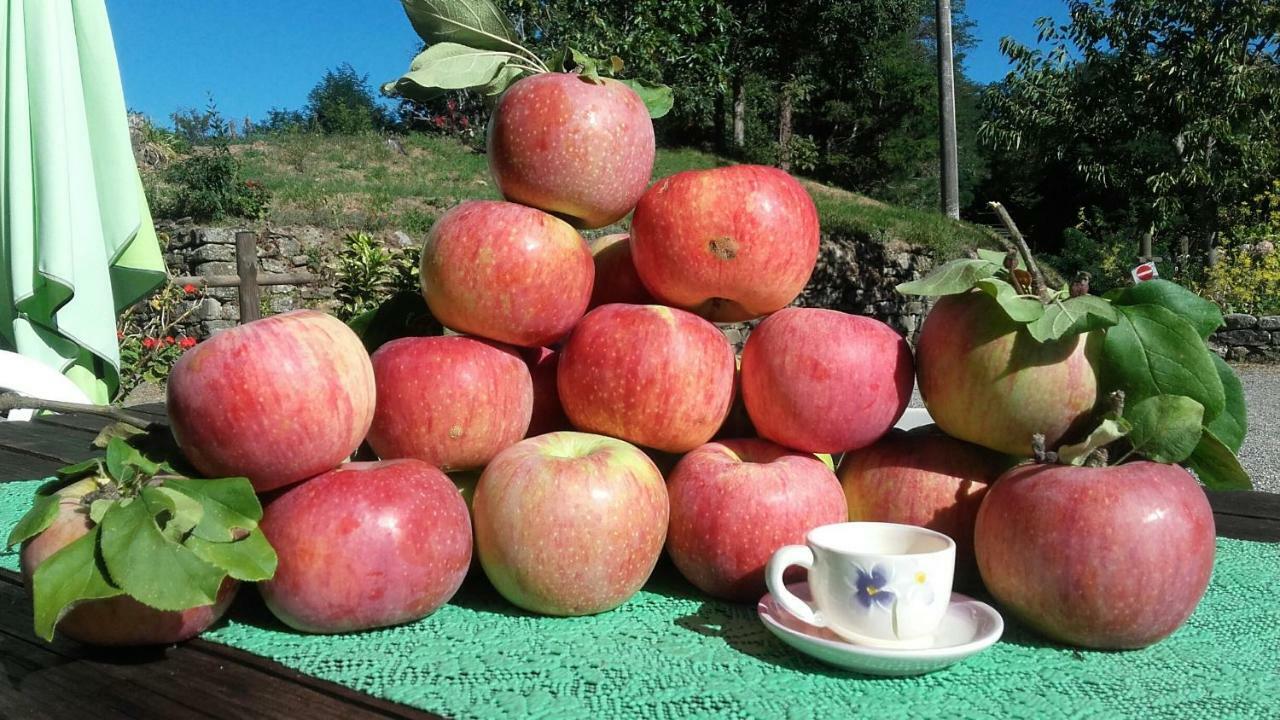 Il Poggio Di Traverde Bed and Breakfast Pontremoli Εξωτερικό φωτογραφία